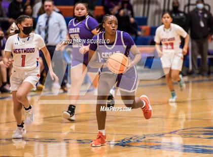 Thumbnail 3 in Cesar Chavez vs Westwood (AIA 6A Round 1 Playoff) photogallery.