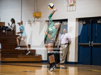 Thumbnail 2 in Pine Forest @ Cape Fear photogallery.