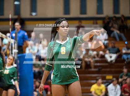 Thumbnail 3 in Pine Forest @ Cape Fear photogallery.