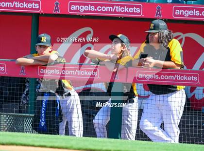 Thumbnail 3 in Scottsdale Preparatory Academy vs. Round Valley (AIA 2A Play In) photogallery.