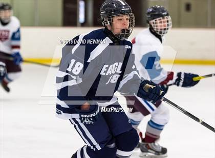 Thumbnail 1 in WMRP [Wethersfield/Middletown/Rocky Hill/Plainville] @ Farmington Valley Coop photogallery.