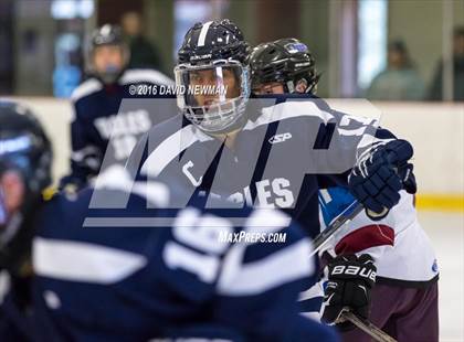 Thumbnail 3 in WMRP [Wethersfield/Middletown/Rocky Hill/Plainville] @ Farmington Valley Coop photogallery.