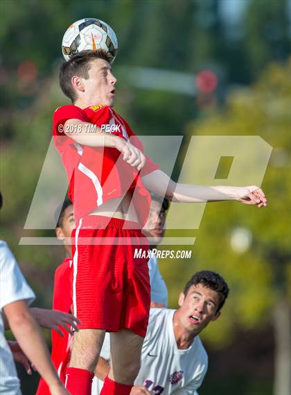 Thumbnail 2 in Woodbridge @ Beckman photogallery.