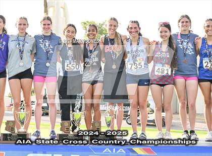 Thumbnail 2 in AIA D-II Girls State Championship (Awards) photogallery.