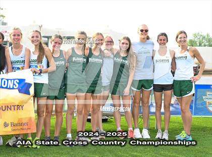 Thumbnail 2 in AIA D-II Girls State Championship (Awards) photogallery.