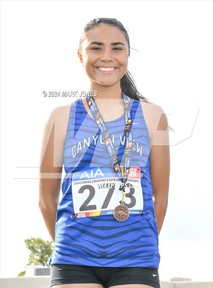Thumbnail 1 in AIA D-II Girls State Championship (Awards) photogallery.