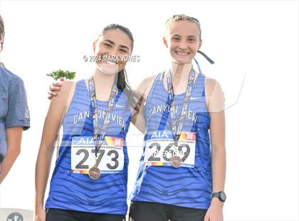 Thumbnail 2 in AIA D-II Girls State Championship (Awards) photogallery.