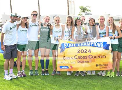 Thumbnail 2 in AIA D-II Girls State Championship (Awards) photogallery.