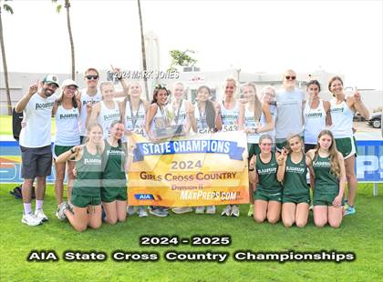 Thumbnail 2 in AIA D-II Girls State Championship (Awards) photogallery.