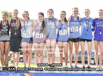 Thumbnail 3 in AIA D-II Girls State Championship (Awards) photogallery.