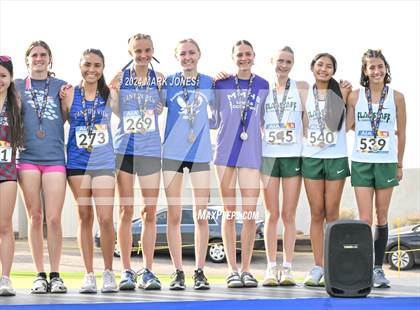 Thumbnail 3 in AIA D-II Girls State Championship (Awards) photogallery.