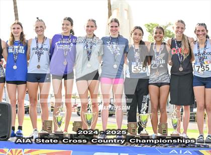 Thumbnail 1 in AIA D-II Girls State Championship (Awards) photogallery.