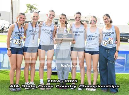 Thumbnail 2 in AIA D-II Girls State Championship (Awards) photogallery.