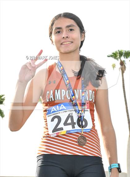 Thumbnail 1 in AIA D-II Girls State Championship (Awards) photogallery.