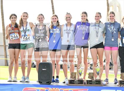 Thumbnail 2 in AIA D-II Girls State Championship (Awards) photogallery.