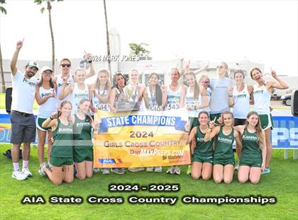 Thumbnail 1 in AIA D-II Girls State Championship (Awards) photogallery.