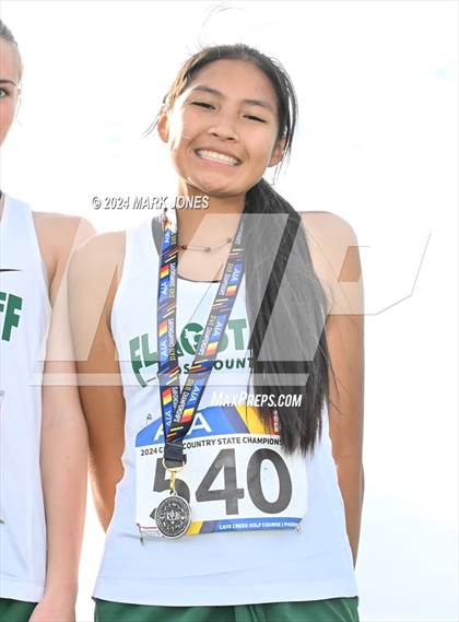 Thumbnail 1 in AIA D-II Girls State Championship (Awards) photogallery.