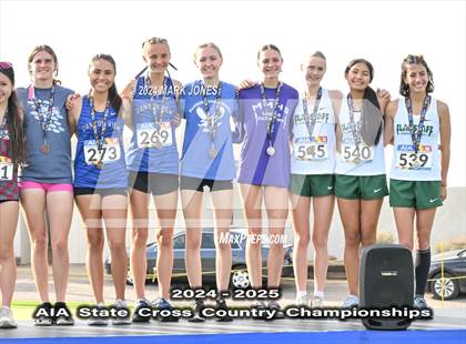 Thumbnail 1 in AIA D-II Girls State Championship (Awards) photogallery.