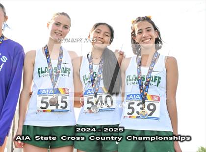 Thumbnail 1 in AIA D-II Girls State Championship (Awards) photogallery.
