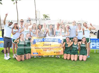 Thumbnail 3 in AIA D-II Girls State Championship (Awards) photogallery.
