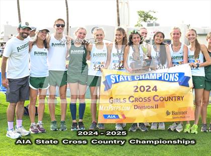 Thumbnail 3 in AIA D-II Girls State Championship (Awards) photogallery.