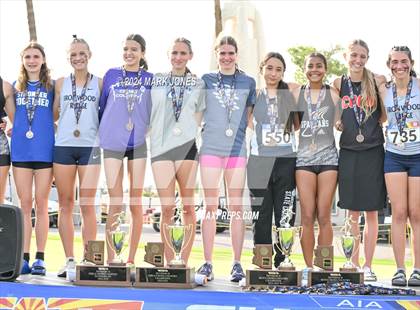 Thumbnail 3 in AIA D-II Girls State Championship (Awards) photogallery.
