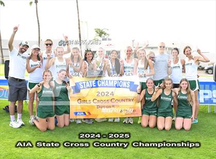 Thumbnail 1 in AIA D-II Girls State Championship (Awards) photogallery.