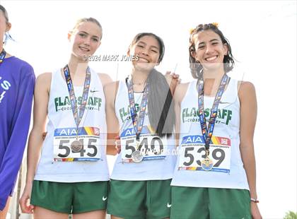 Thumbnail 3 in AIA D-II Girls State Championship (Awards) photogallery.