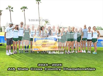 Thumbnail 3 in AIA D-II Girls State Championship (Awards) photogallery.