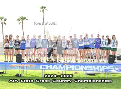 Thumbnail 2 in AIA D-II Girls State Championship (Awards) photogallery.