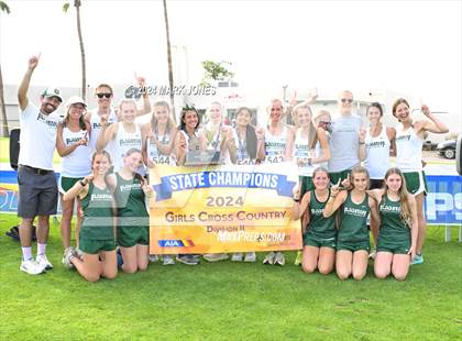 Thumbnail 2 in AIA D-II Girls State Championship (Awards) photogallery.