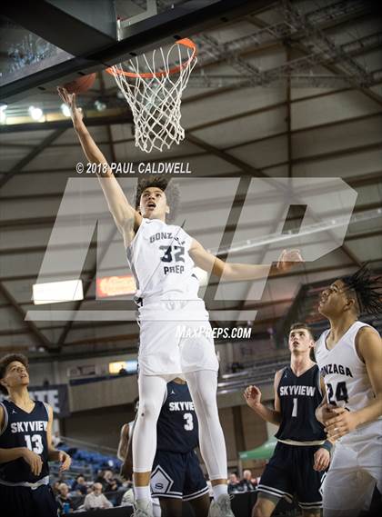 Thumbnail 3 in Skyview vs. Gonzaga Prep (WIAA 4A Quarterfinal) photogallery.