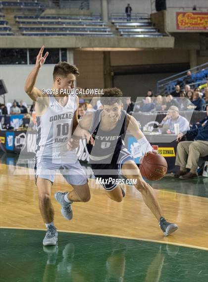Thumbnail 2 in Skyview vs. Gonzaga Prep (WIAA 4A Quarterfinal) photogallery.