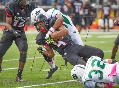 Thumbnail 3 in Wilson @ Woodson photogallery.