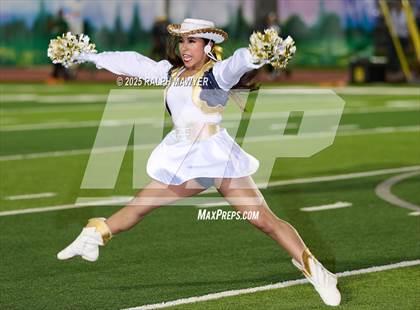 Thumbnail 3 in Alexander @ Boerne-Champion photogallery.