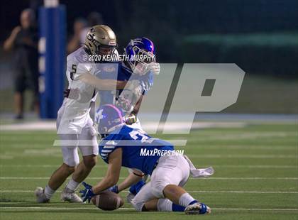 Thumbnail 2 in Birdville @ Midlothian photogallery.