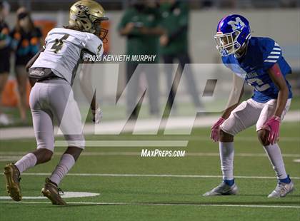 Thumbnail 1 in Birdville @ Midlothian photogallery.