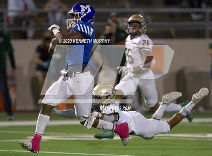 Thumbnail 3 in Birdville @ Midlothian photogallery.
