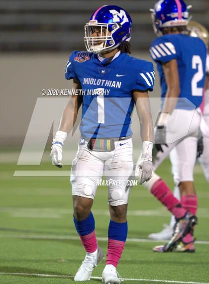 Thumbnail 3 in Birdville @ Midlothian photogallery.
