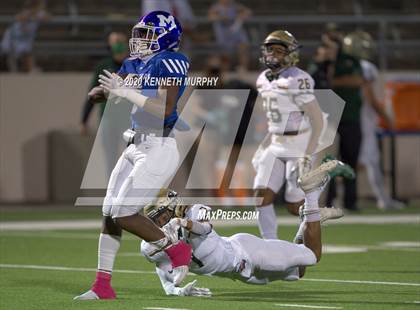Thumbnail 2 in Birdville @ Midlothian photogallery.