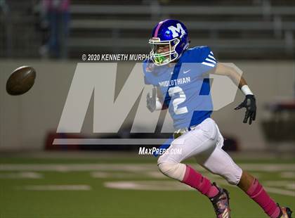 Thumbnail 3 in Birdville @ Midlothian photogallery.