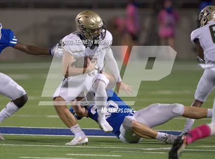 Thumbnail 3 in Birdville @ Midlothian photogallery.