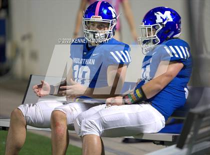 Thumbnail 1 in Birdville @ Midlothian photogallery.