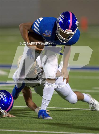 Thumbnail 2 in Birdville @ Midlothian photogallery.