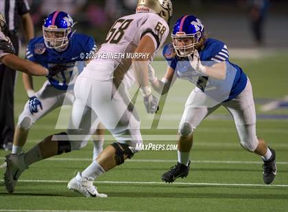 Thumbnail 1 in Birdville @ Midlothian photogallery.