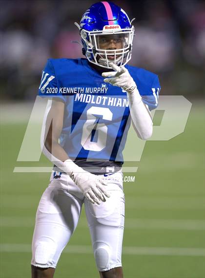 Thumbnail 2 in Birdville @ Midlothian photogallery.