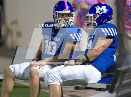 Thumbnail 2 in Birdville @ Midlothian photogallery.