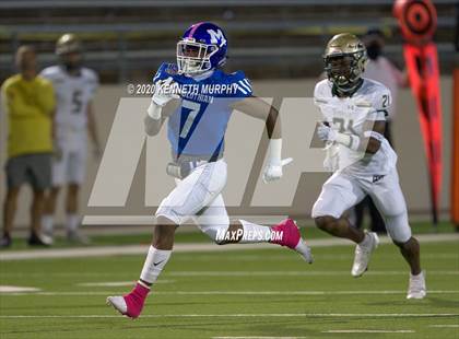 Thumbnail 3 in Birdville @ Midlothian photogallery.
