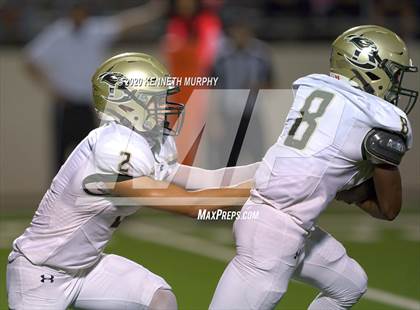 Thumbnail 1 in Birdville @ Midlothian photogallery.