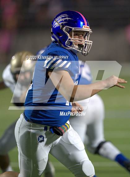 Thumbnail 1 in Birdville @ Midlothian photogallery.